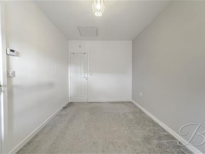 Picture 24